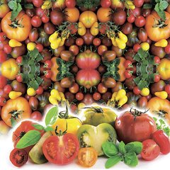 Насіння томатів Томатний Калейдоскоп суміш 200 шт 11.2770 фото