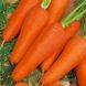 Семена моркови Шантане Яскрава 3 г
