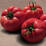 Насіння томатів Пінк Хіт F1 Yuksel Tohum Леда 10 шт - купити | Good Harvest