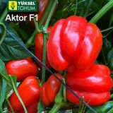 Семена перца Актор F1 Yuksel Tohum Леда-Агро 8 шт - купить | Good Harvest