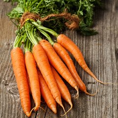 Семена моркови Манго ранняя Солнечный Март 10 г 11.2807 фото