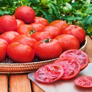Семена томатов Волгоградский 5/95 Gl Seeds 0,25 г 11.2033 фото