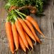 Насіння моркви Манго рання Сонячний Март 10 г