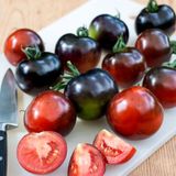 Насіння томатів Найт рейн Садиба 0,1 г - купити | Good Harvest