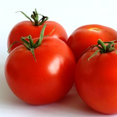 Насіння томатів Бушмен безрозсадний Агромаксі 0,4 г 11.1270 фото