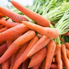 Семена моркови Артек Яскрава 10 г