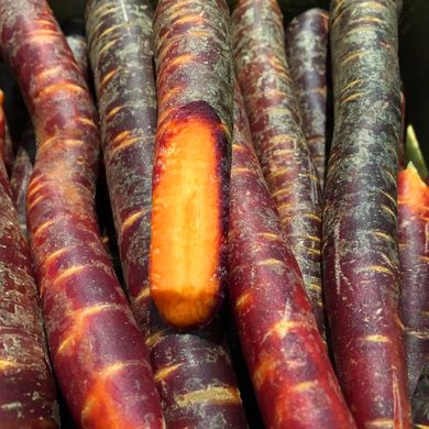 Насіння моркви Пурпуровий космос 100 шт 11.1053 фото