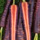 Семена моркови Пурпурный космос 100 шт