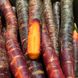 Семена моркови Пурпурный космос 100 шт