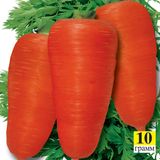Насіння моркви Вікінг Сонячний Март 10 г - купити | Good Harvest