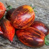 Семена томатов Гаргамель Буш Солнечный март 12 шт - купить | Good Harvest