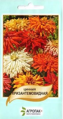 Семена циннии хризантемовидной Legutko смесь 0,5 г 10.1865 фото
