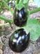 Семена баклажанов Черный красавец 10 г