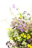 Семена цветочной смеси Зеленый врач Hem Zaden 30 г/50 кв. м - купить | Good Harvest