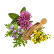 Насіння квітів і трав Насіння кормових трав і сидератів — купити в інтернет магазині Good Harvest