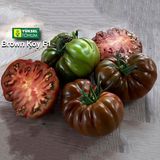 Насіння томатів Браун Кой F1 Yuksel Tohum Леда 5 шт - купити | Good Harvest