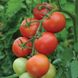 Семена томатов Манимейкер 0,1 г