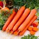 Насіння моркви Перфекція Яскрава 10 г