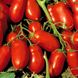 Насіння томатів Інкас F1 Nunhems Zaden Садиба 100 шт