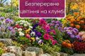 Клумба безперервного цвітіння: які квіти посадити | Good Harvest дізнатися більше