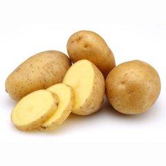 Насіння картоплі Ілона Seedera 0,02 г