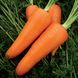 Насіння моркви Мірафлорес F1 Clause Садиба Центр 400 шт