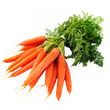Насіння овочів Насіння моркви — купити в інтернет магазині Good Harvest