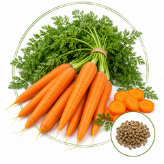 Насіння овочів Насіння моркви &mdash; купити в інтернет магазині Good Harvest