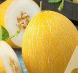 Семена дыни Фландер F1 Syngenta 10 шт - купить в Украине | Good Harvest