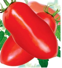 Семена томатов Капелла Солнечный Март 100 шт 11.3114 фото