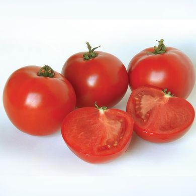 Насіння томатів Полбіг F1 Bejo Zaden 20 шт 11.1292 фото