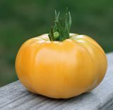 Насіння томатів Мікадо жовтий Gl Seeds 0,1 г 11.0167 фото
