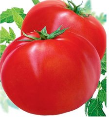 Насіння томатів Прима Сонячний Март 100 шт 11.3115 фото