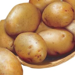Насіння картоплі Реванш Seedera 0,02 г