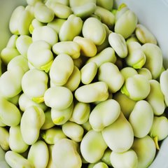 Семена бобов овощных белых Gl Seeds 5 шт 11.0822 фото