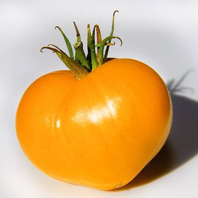 Насіння томатів Полтавська галушка Агромаксі 0,1 г 11.1341 фото