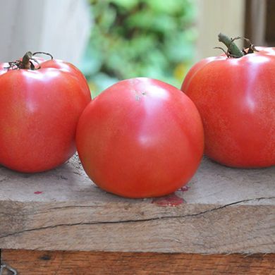 Насіння томатів Рожева перлина Gl Seeds 0,1 г 11.2044 фото
