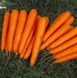 Насіння моркви Лагуна F1 Nunhems Zaden Агропак 10 г