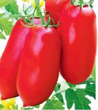 Насіння томатів Червоний кристал Сонячний Март 100 шт - купити | Good Harvest