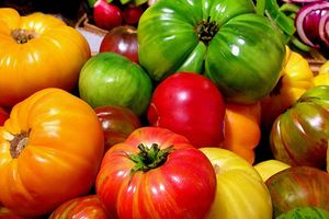 Рейтинг сортів томатів 2020 дізнатися більше