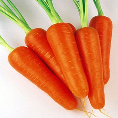 Семена моркови Абако F1 Seminis 1 г 11.0708 фото