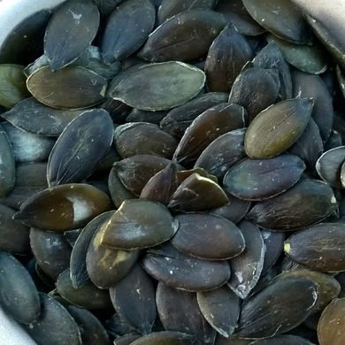 Семена тыквы Магдебургская голосемянная Элитсортсемена 8 шт 11.2372 фото