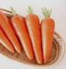Семена моркови Абако F1 Seminis 1 г