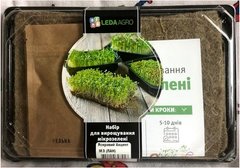 Уникальный Суперфуд брокколи набор для выращивания микрозелени 19.0314 фото