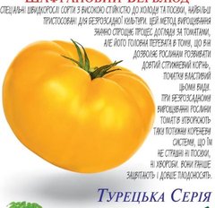 Семена томатов Шафрановый верблюд Солнечный Март 100 шт 11.3117 фото
