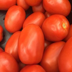 Семена томатов Маруся Садыба 0,2 г