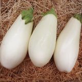 Семена баклажанов Бамбина Солнечный март 30 шт - купить | Good Harvest