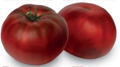 Семена томатов Тасманский шоколад Солнечный Март 10 шт 11.3118 фото