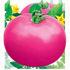 Насіння томатів Фатіма Сонячний Березень 100 шт