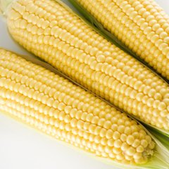 Семена кукурузы Сахарная 50 г 11.1813 фото